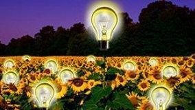 Edilizia contributo al consumo energetico sostenibile