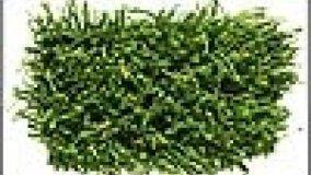 La moquette in tinte vivaci