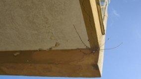 Ripartizione spese per ripristino ballatoi