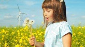 Iniziative per la tutela dell'ambiente