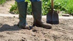 Terreno composizione