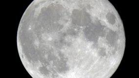 Luna Colture Marzo Maggio