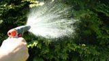 Irrigazione e disidratazione piante