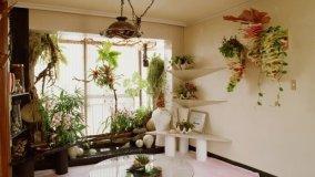 Cura delle piante durante le ferie