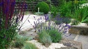 Giardini senza prato