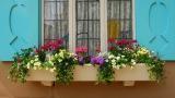 Responsabilità per la caduta delle fioriere dai balconi