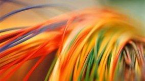 Cablaggio dei palazzi e Decreto Sviluppo bis