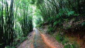 Rinuncia alla servitù