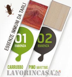 Combattere i tarli Come uccidere i tarli