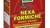 Thumbnail Nexa kb formiche in granuli idrosolubili 800 1