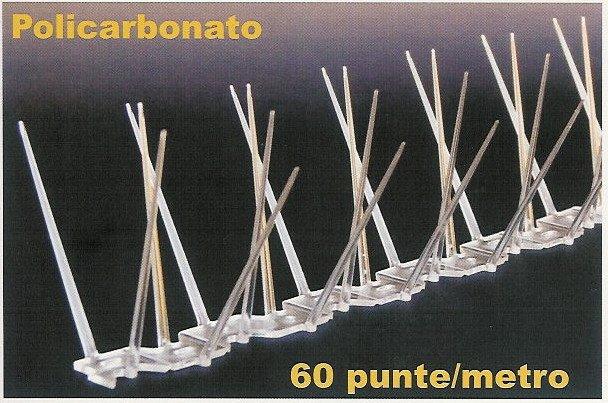 Alastop basic policarbonato cm 50 1