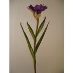 Fiore artificiale iris (seta) telstar