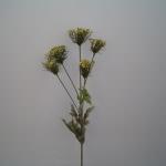 Fiore artificiale achillea beauty (plastica)