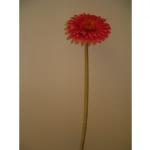 Fiore artificiale gerbera (seta e - 22610