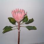 Protea king artificiale