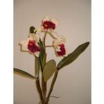 Orchidea artificiale cattleya con foglie