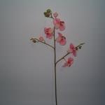 Orchidea artificiale phalenopsis 5 fiori