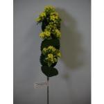 Kalanchoe yellow