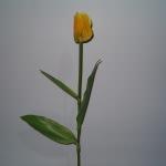Tulipano finto (lattice) - 23114