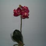 Orchidea artificiale phalaenopsis mini con - 23115