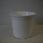 Vaso per floricolture iris