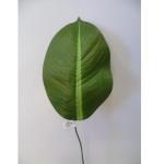 Ficus robusta foglia artificiale