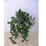 Cascante di pothos artificiale