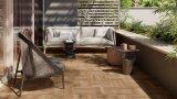 Thumbnail Piastrella sundeck honey 30 5x30 5 gres 1