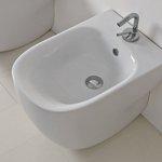 Bidet a terra wild design back to