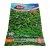 Dichondra repens seme sais 100 gr
