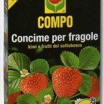 Compo concime granulare per fragole 1 kg