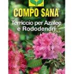 Compo sana terriccio per azalee e rododendri