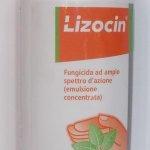 Lizocin 1 lt