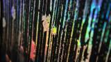 Thumbnail Foil Argento Multicolor 2