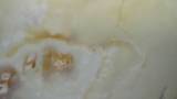 Thumbnail Lampadario in onice bianco Carrara e dintorni 3