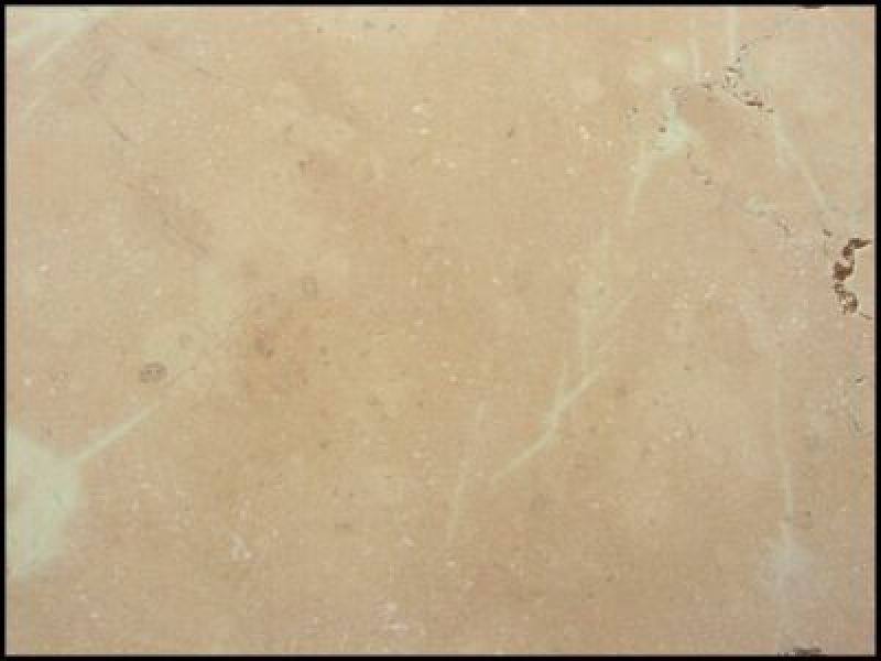 Piatto doccia in marmo antiscivolo Carrara 3