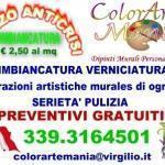 Imbiancatura - 39866