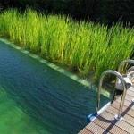 Piscine - bio piscina - piscina bio design - bio lago