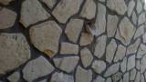 Thumbnail Pietre per pavimenti e rivestimenti Marino di Roma 5